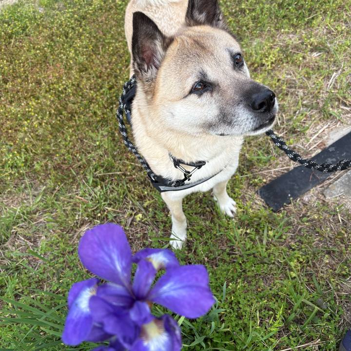 Ed5e0896 5596 4e75 a76c 983f61bd29d0 1747134473658