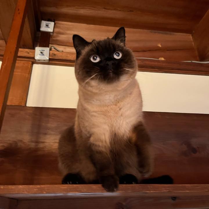 Ed5e0afc 3372 45e4 84cf a02dfedaaa4c 1646700088321