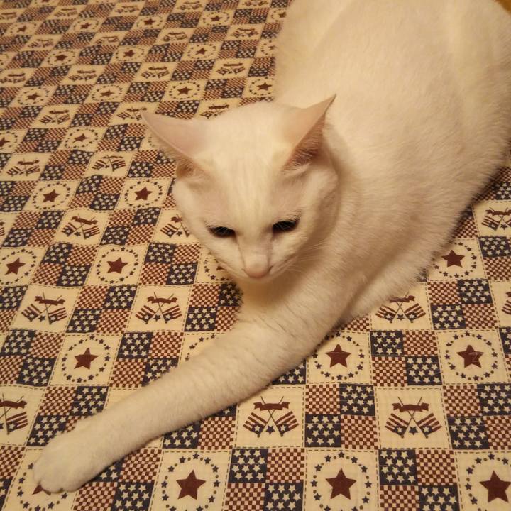 Ed5e2946 f5bd 4db1 875d 1e2c93d4463c 1538312765761