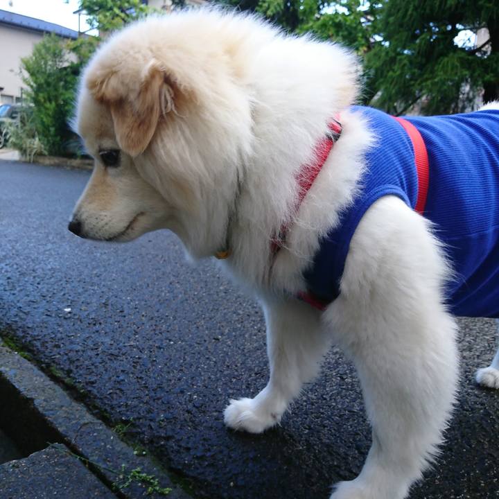 Ed5e43f9 c451 484c 91f2 e11a70a03ccd 1526680129516