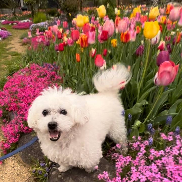 Ed5e7aef 530d 40c9 84a4 bc8d9db0a6ef 1681468707294