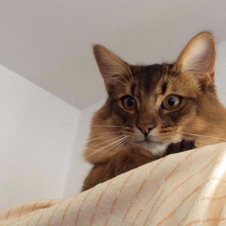 Ed5e88d7 c31f 4fd7 894e 6de325baa39e 1592036935255