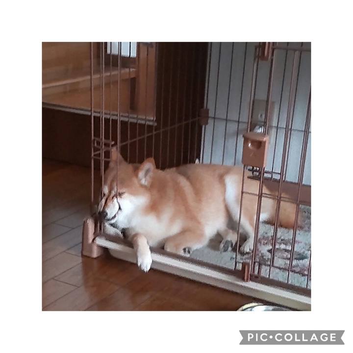 Ed5eafa6 bb7d 42e1 a45a f85bbf545cae 1750232998234