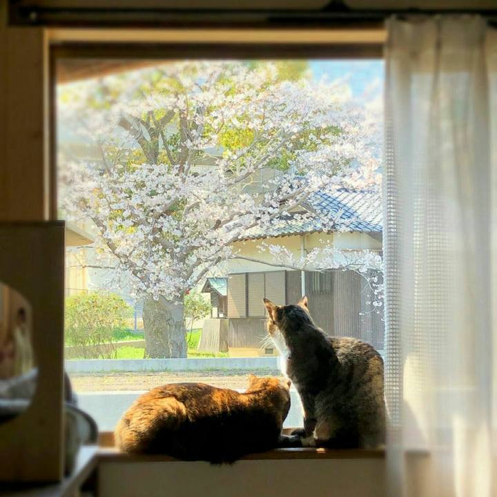 Ed5ed94e 0423 4f07 a991 ecfeb74634f4 1585979076006