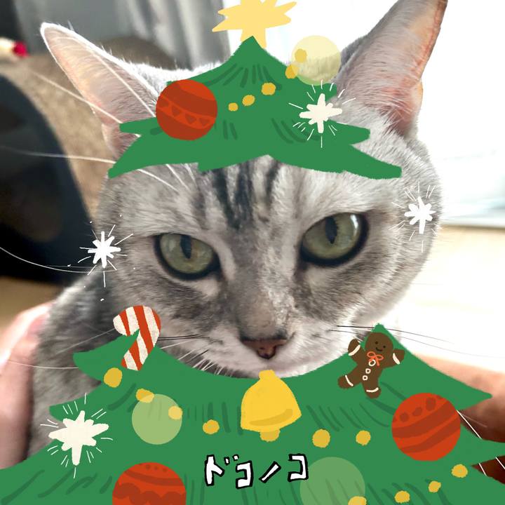 Ed5ee0c4 0880 433e bcc5 872d3ca26ca0 1764196274438