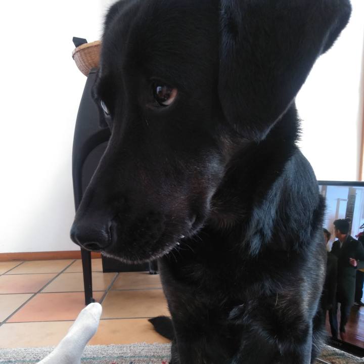 Ed5ef408 232a 4ae3 ab24 3516237d9186 1587018226363