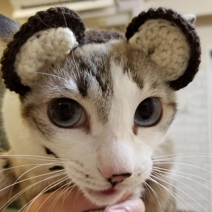 Ed5f2aee e8c0 4e82 b11c 2830e4224b1f 1551106558221