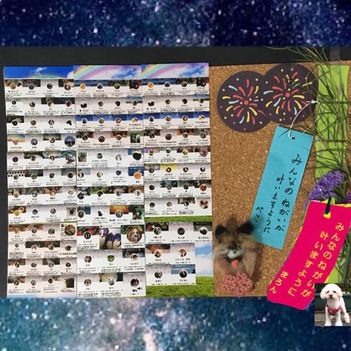 Ed5f42fb 2e00 490a 8778 00b3284eb7b2 1530866603838