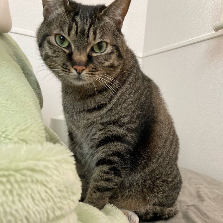 Ed5f477e e915 4c7e a5e3 f760bd72b750 1647829889982