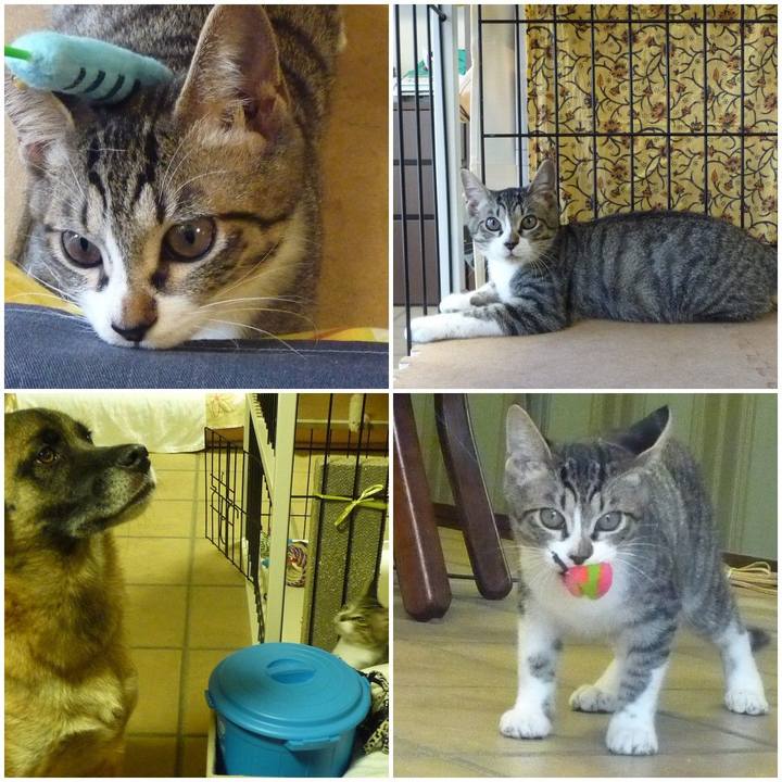 Ed5f6381 66e3 4a13 8a68 7198ec24bfbf 1577086369912