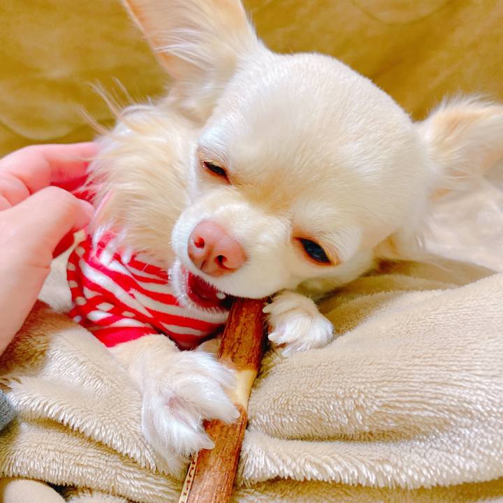 Ed5f655b f3f9 4cf3 bb4b 310a73369750 1641981788769