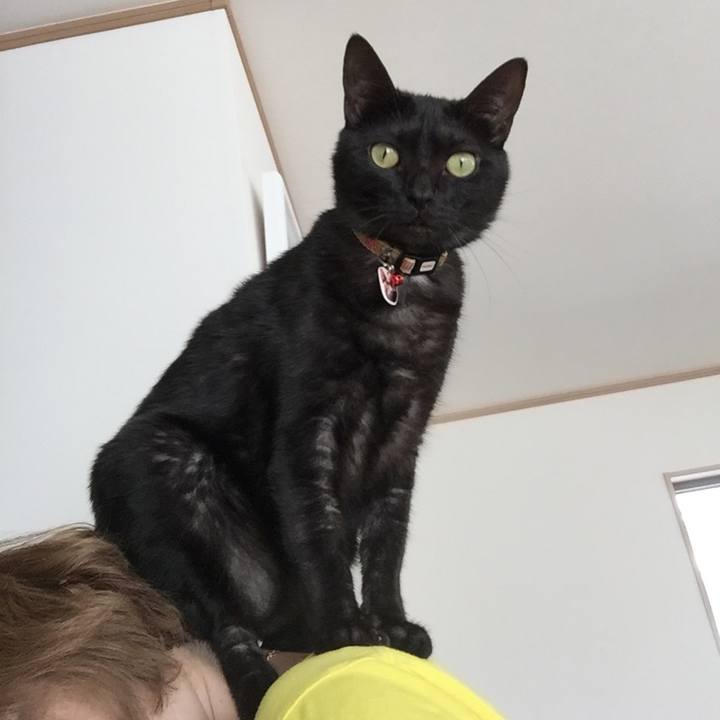 Ed5fbacc 0600 4d0f b5b8 51b5353b6e4f 1540447002977