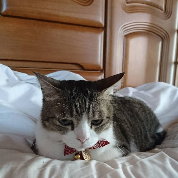 Ed5fc366 f95b 4b49 a2a8 9db3a5cd93f0 1526292481074