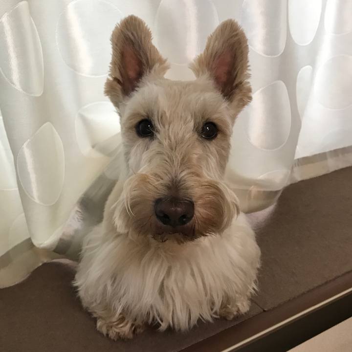 Ed5fc51e db3f 4929 8056 e0e3772251dd 1531644101820