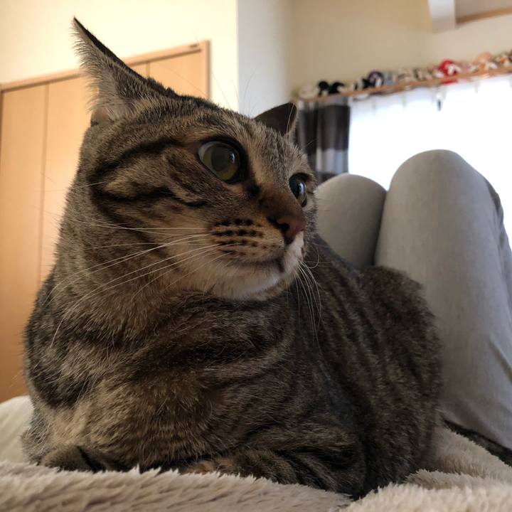 Ed5fd46c e485 47c1 9808 a499bb2af2e2 1543627700480