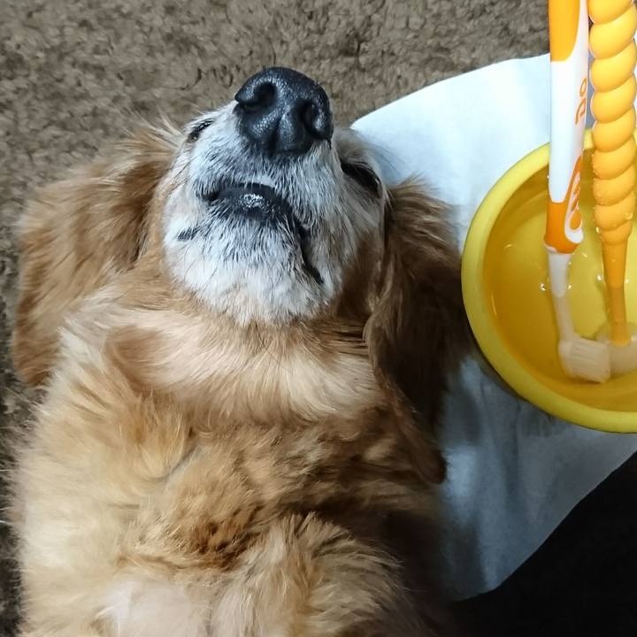 Ed5fd6e9 02d6 46d0 9b03 ddfdbd7953d5 1514399209000