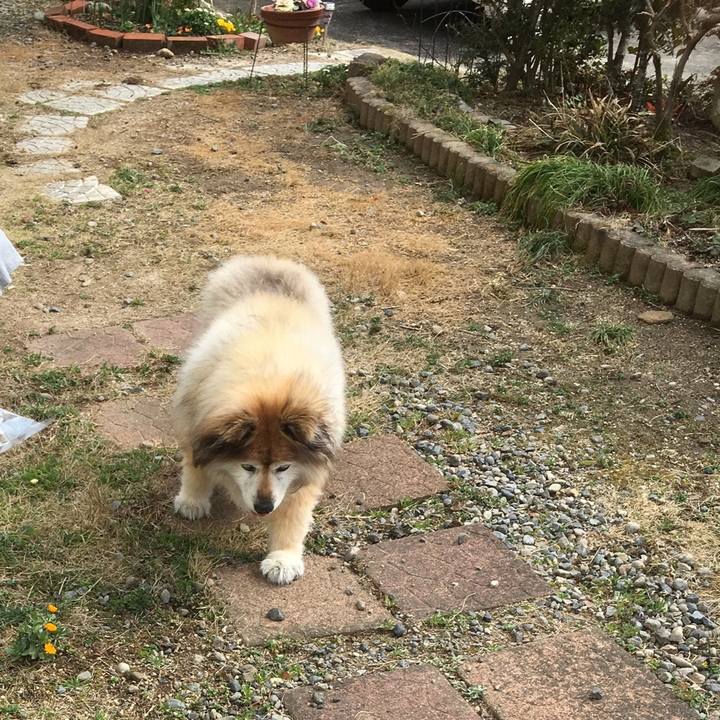 Ed5fdf83 5c85 4085 ac0d 01dd5bcd13d9 1602561483745