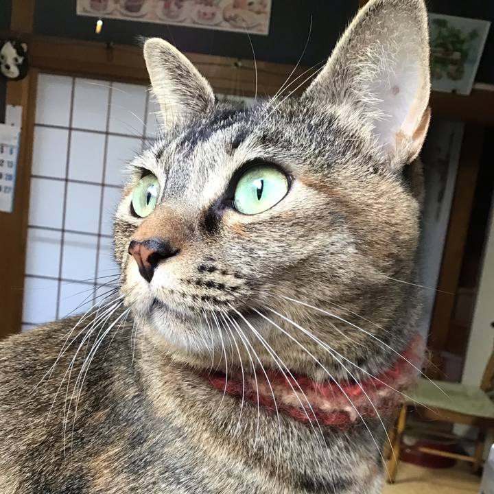 Ed60087e a6af 4a64 ab2c b829891a6948 1635904501480