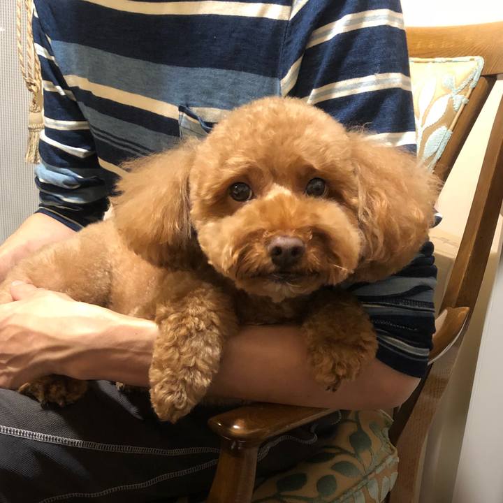 Ed600d8a 3aba 4d50 89fa 648423cc71d5 1537626614183