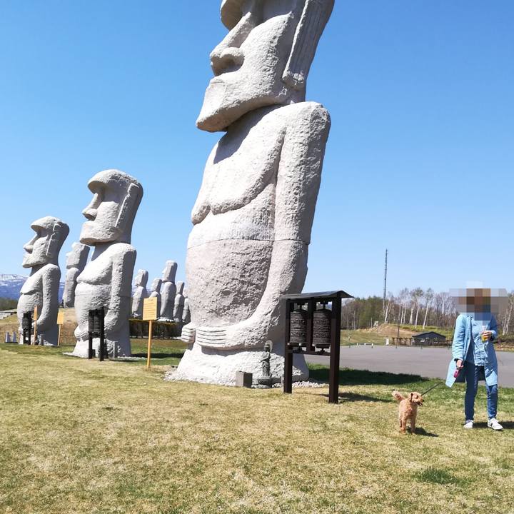 Ed601853 ba2c 4788 a806 817bf6302475 1557024472198