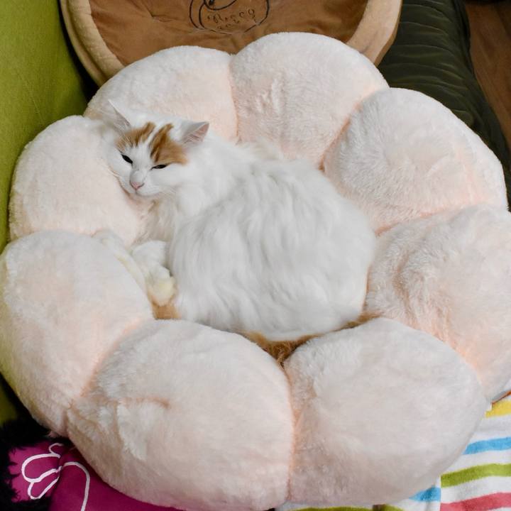 Ed601a0b fde5 420f 8b52 711b76ddee02 1763091429934