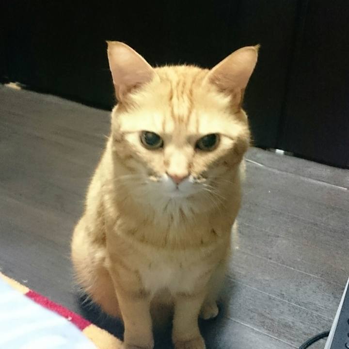 Ed602ab6 3177 4b10 8949 5d21ad21ce8b 1524267759898