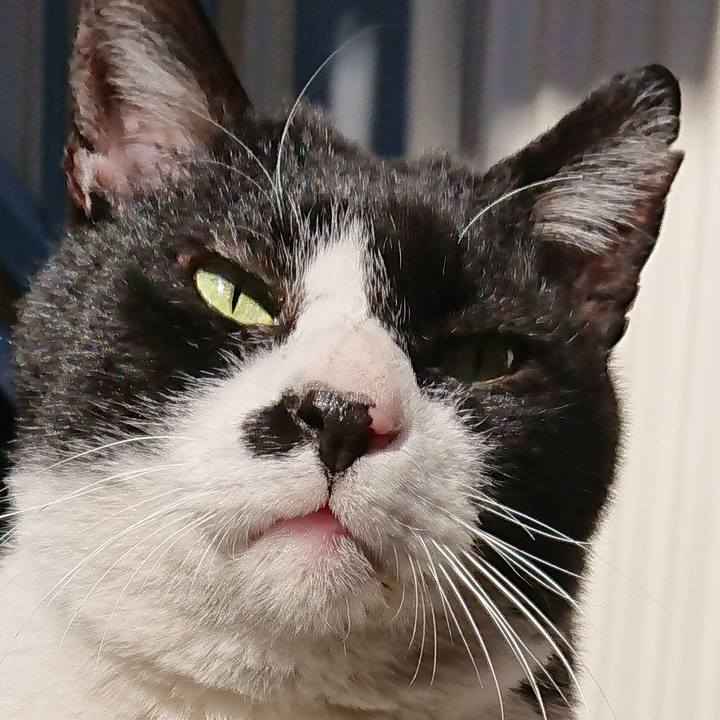 Ed608af8 2959 42b5 8279 24a1bc8ef91d 1547436216561