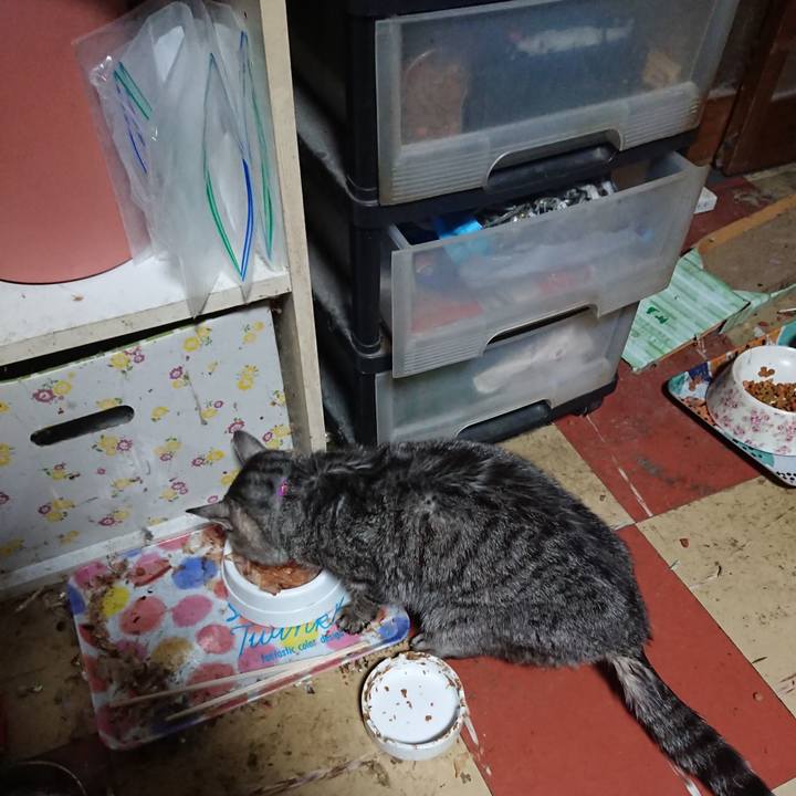 Ed60925a a86a 4e3b bf1c 27f5a2ae834b 1580590165177