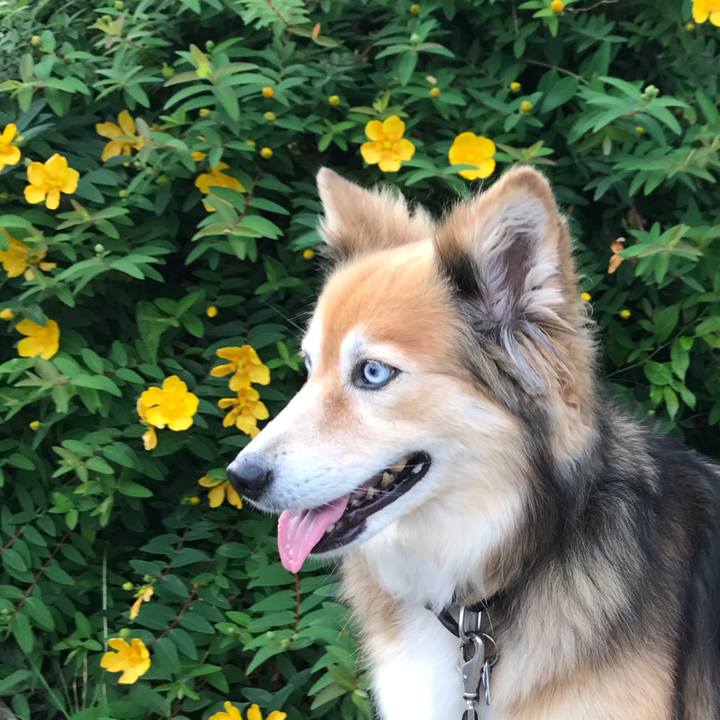 Ed60bf4e b880 4946 9aa0 4a74c16e009d 1591367061187