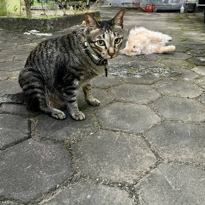 Ed60c859 b89e 4cb6 8f0d 66d9c89e9f09 1774438750135