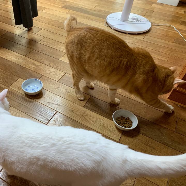 Ed60c935 de87 4c81 9eac 4f0002defb3c 1562536212500