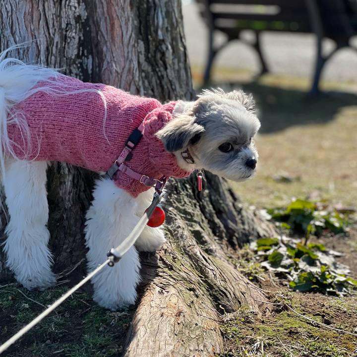 Ed60f479 9fb1 44c9 a489 0120610a8759 1709537822666