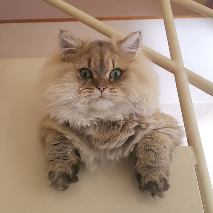 Ed60f8bc 655e 47cb 8375 9e317d418aa7 1573523227098