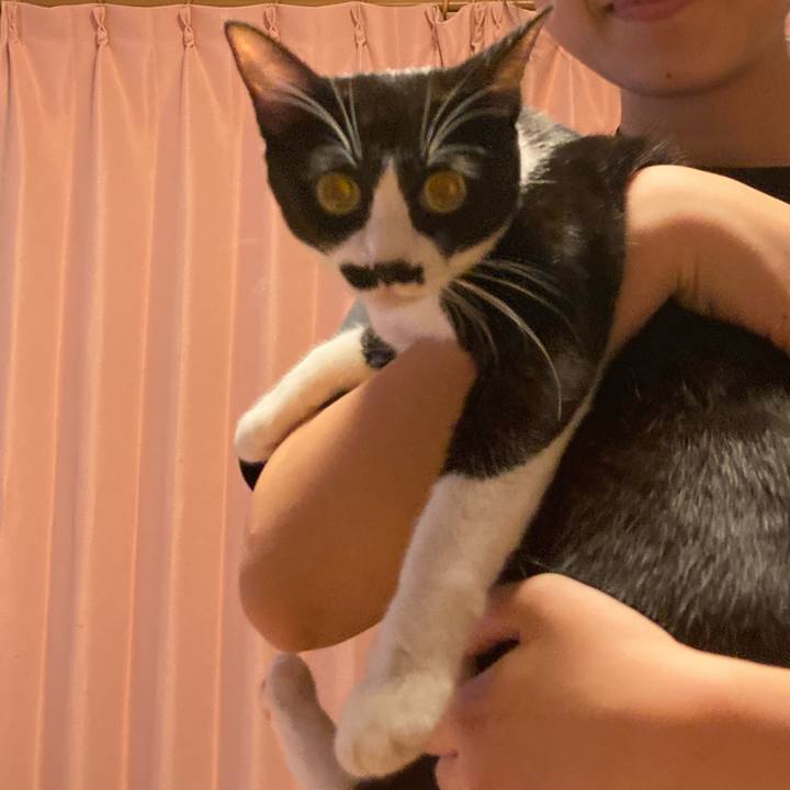 Ed610cec c238 479e 8ef7 b5beab008dc0 1692149989188