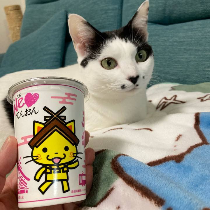 Ed611479 6ada 4828 8f8f 6c1910e37f74 1767958723385