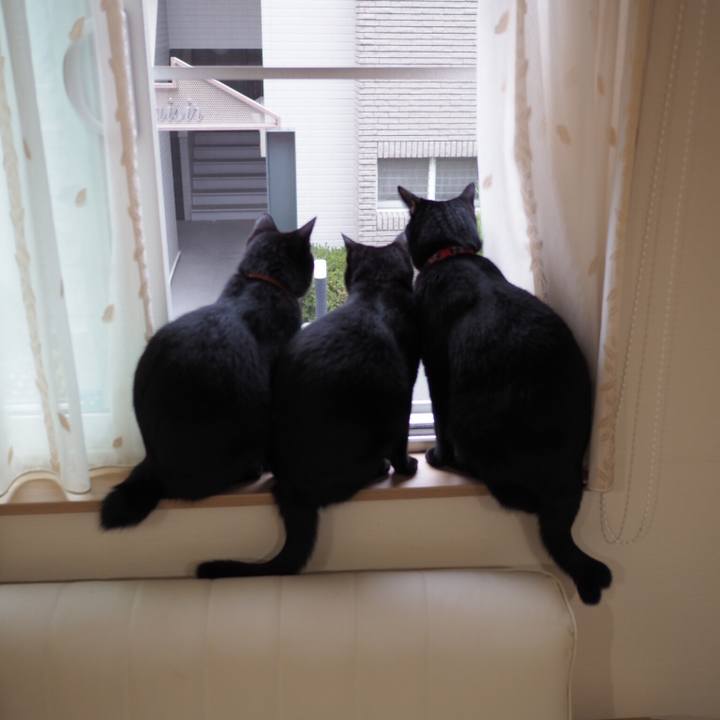 Ed61280a b3e0 4f7d a524 91c4841c747c 1535412570007