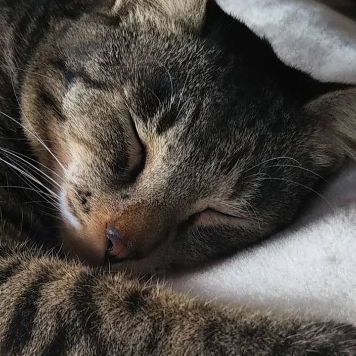 Ed612b08 91f4 4380 8b66 8edceb728ff1 1603951404334