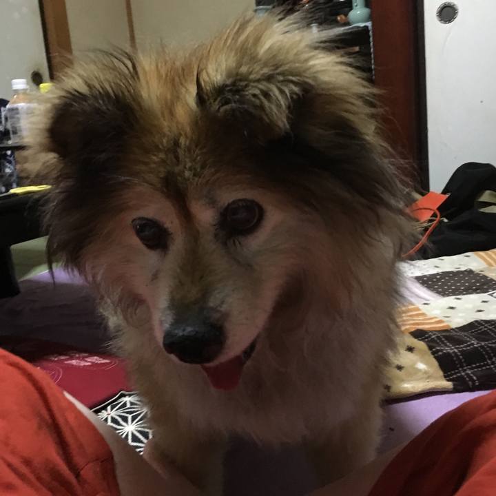 Ed6147b9 821d 4cfd b308 5b3ff1bd46e8 1580215275911