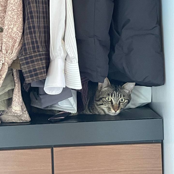 Ed617632 171c 4457 b29b ef82c3e4b685 1756883474249