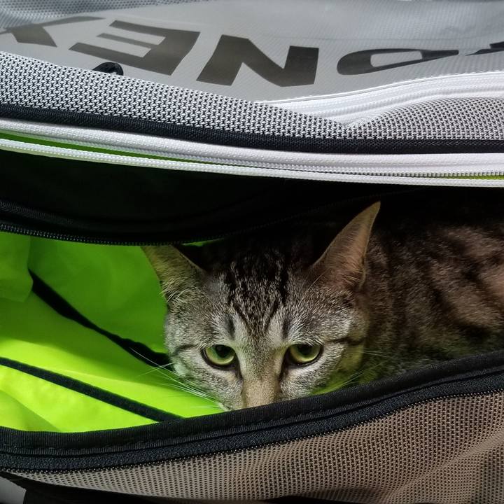 Ed619d0a 76ac 408b 94bf f81d1072165f 1692683248888