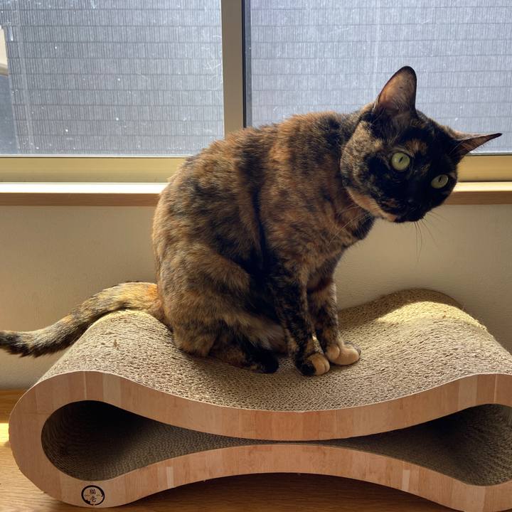 Ed61df5b f50e 45f8 9fe0 088ac3c71359 1685718162967