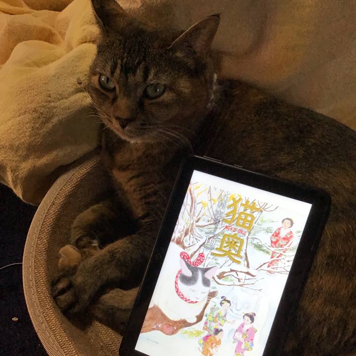 Ed61e30b 6cca 4662 b76f 96bc4fa3c6a0 1737540009126