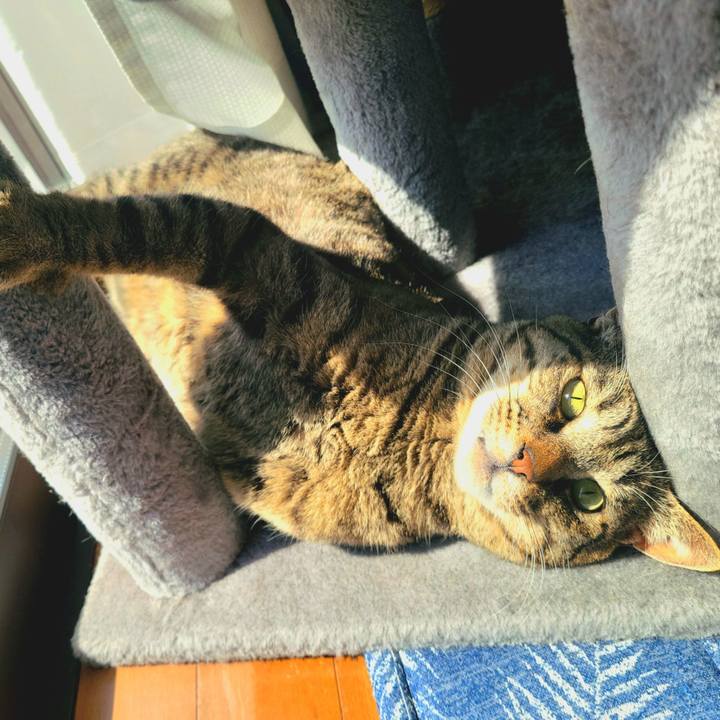 Ed62021f 71d0 49cd a808 5f4f3d981ca6 1743820920322