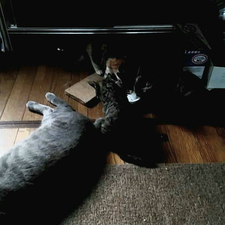 Ed620289 473b 43d5 a993 dd2cb3304d0b 1692887857454