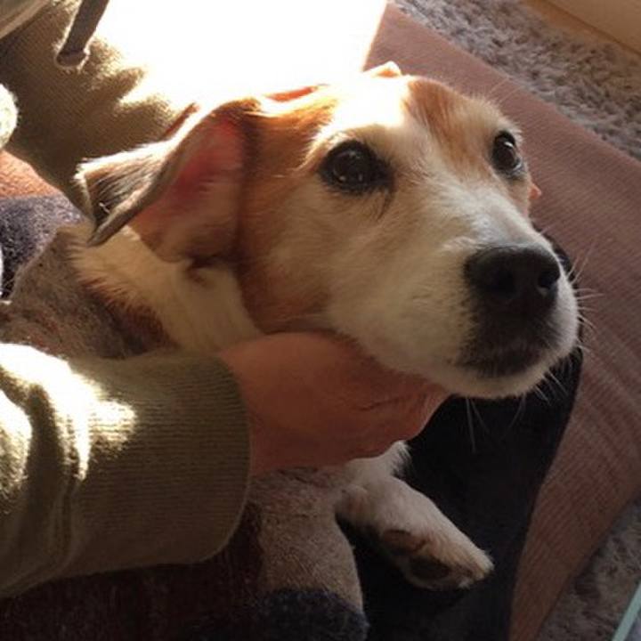 Ed622147 69b6 48d6 bd76 bbb99ac628d4 1583042908067