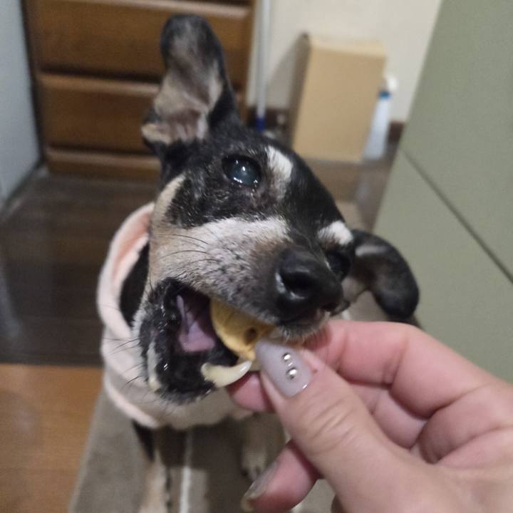 Ed6228b2 6f0a 41ec 8de8 3397ada9b882 1763063479591