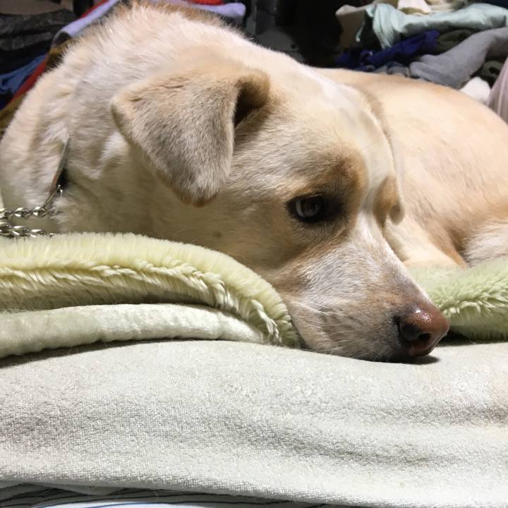 Ed62ab7b c863 498b afb8 b0c84683c17a 1516286245000