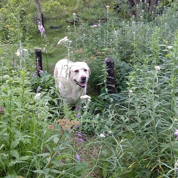 Ed62ac6e e18e 4031 8af5 4c948abfc0d4 1659166702823