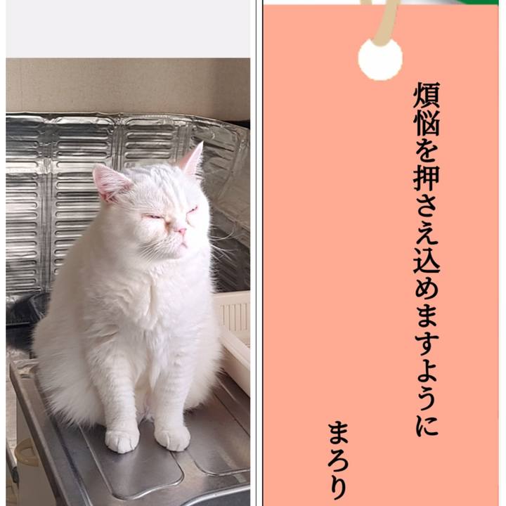 Ed62bb01 61fe 4c6e b32f 724fe9e52c83 1657132021014