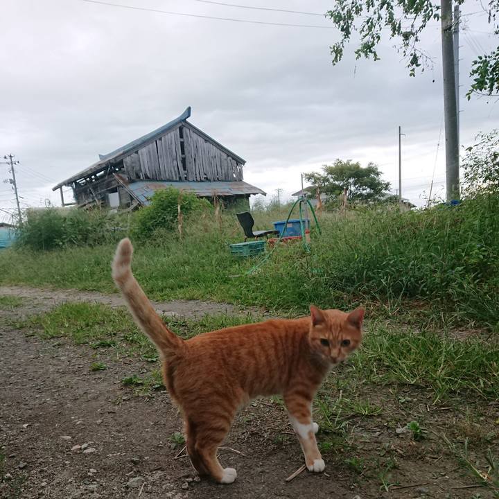 Ed62e643 c5c5 46b3 a58e ca152f086f01 1600462676956